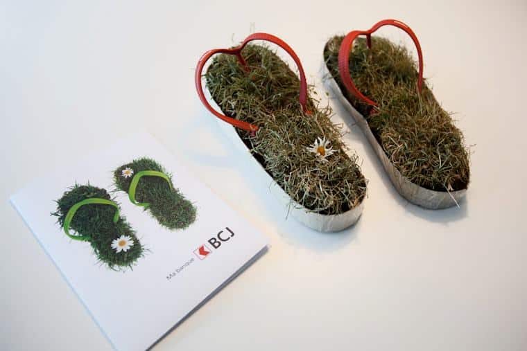 Brochure pour le pack start2 de la BCJ avec les tongues en vrai à côté.