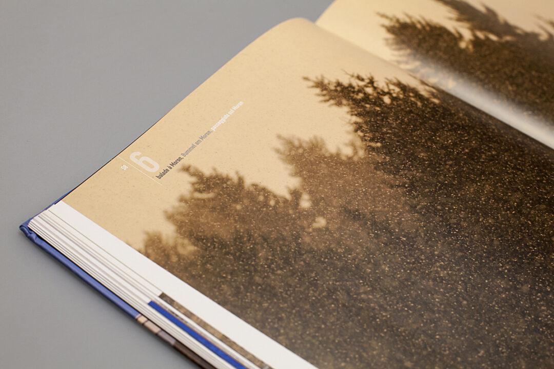 Page du livre avec comme image de fond des sapins.